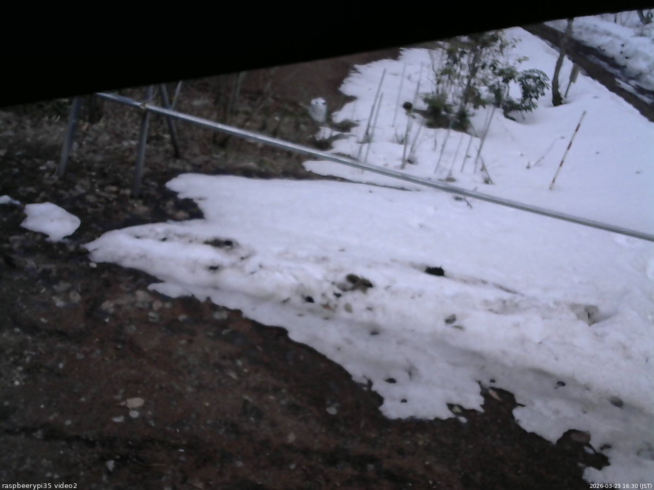 長野県菅平高原 ゆたか山荘 駐車場 2026/03/23 16:30