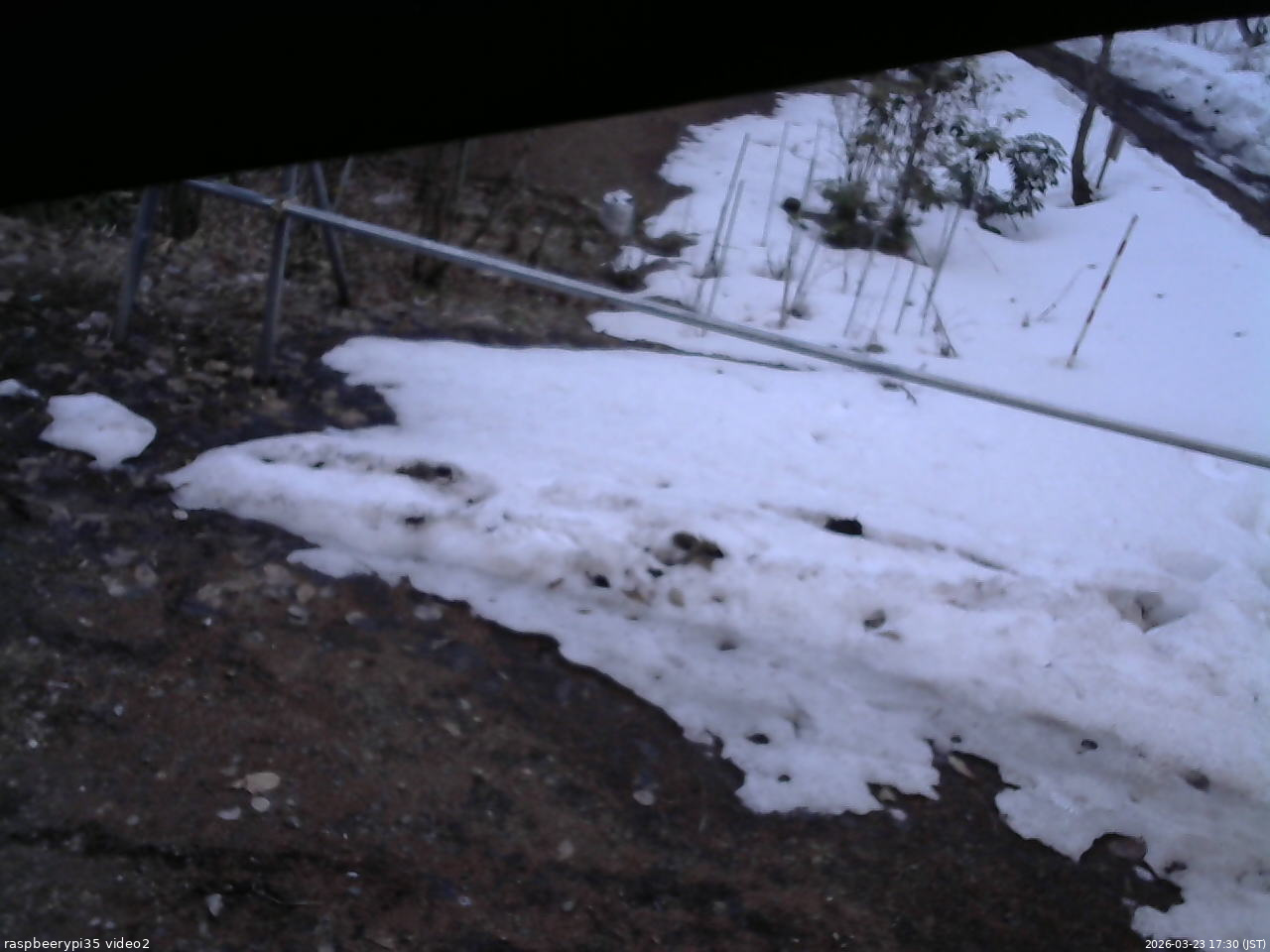 長野県菅平高原 ゆたか山荘 駐車場 2026/03/23 17:30