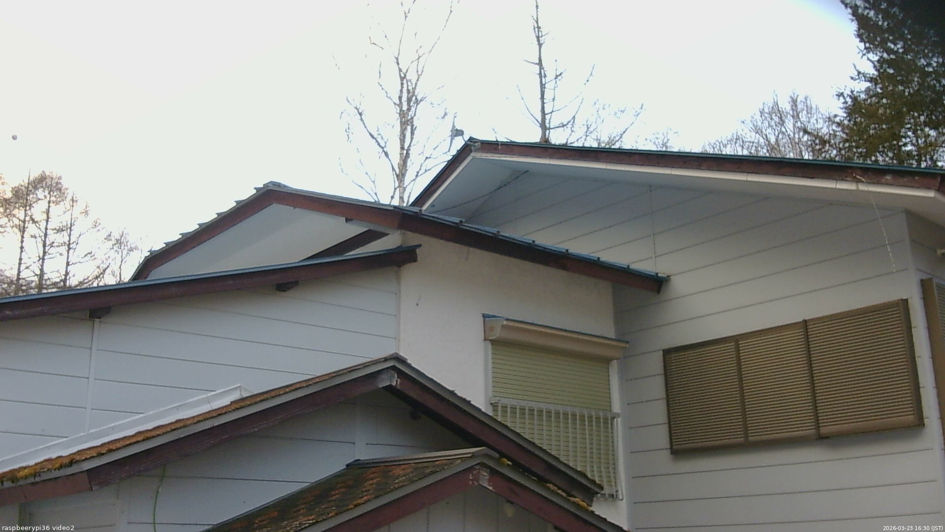 長野県菅平高原 ゆたか山荘 駐車場奥 2026/03/23 16:30