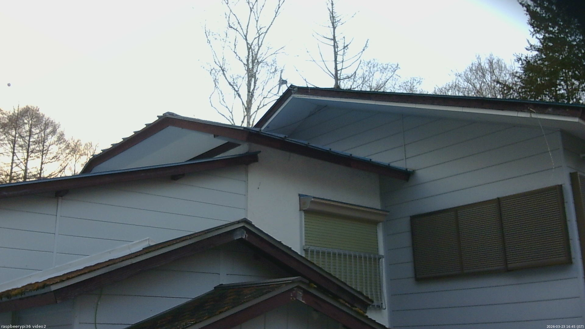 長野県菅平高原 ゆたか山荘 駐車場奥 2026/03/23 16:45