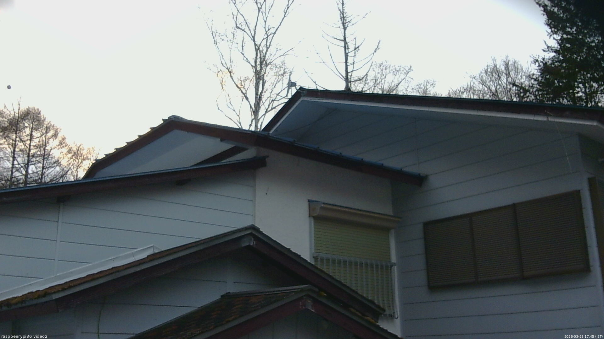 長野県菅平高原 ゆたか山荘 駐車場奥 2026/03/23 17:45