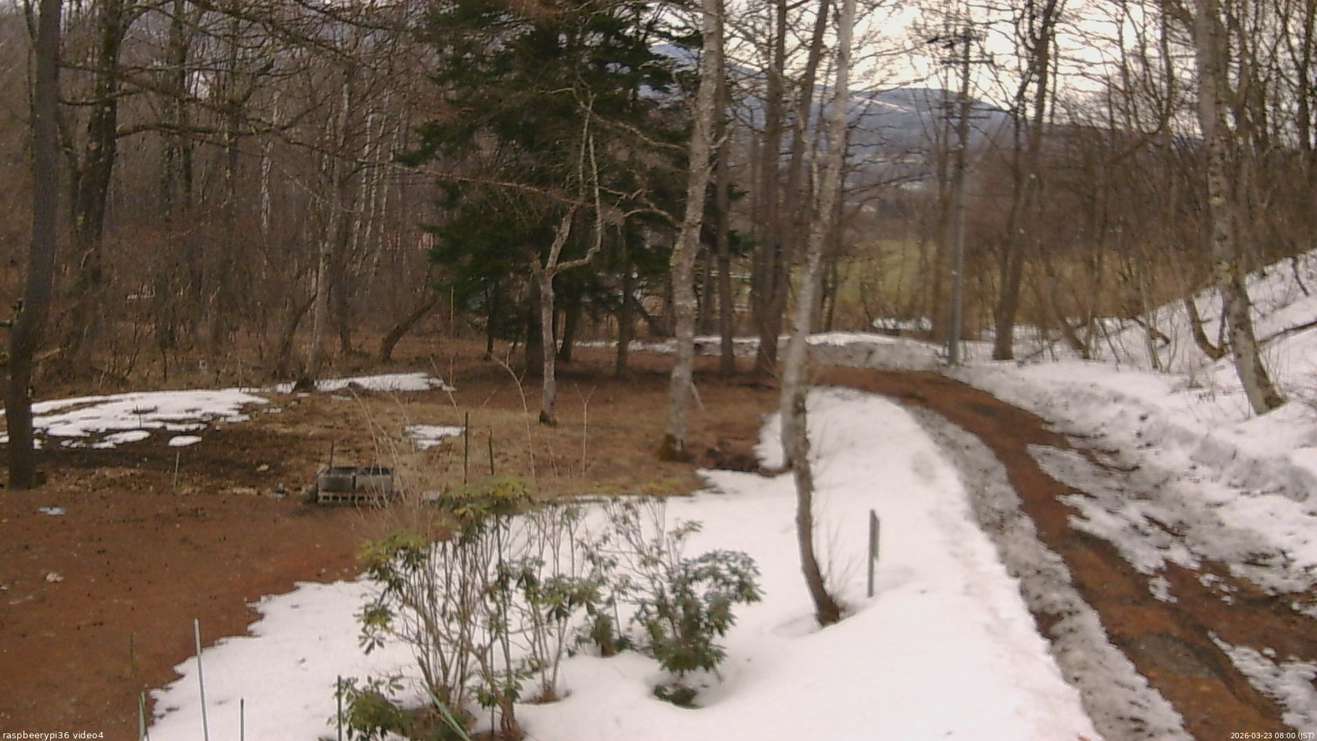長野県菅平高原 ゆたか山荘 坂上 2026/03/23 08:00