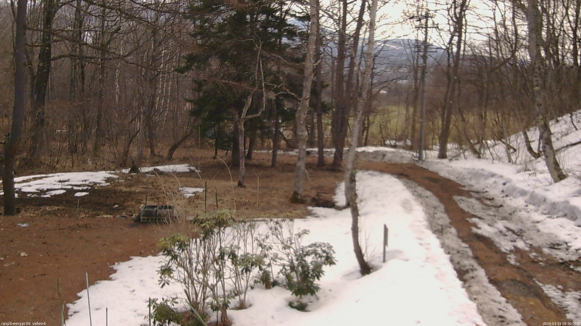 長野県菅平高原 ゆたか山荘 坂上 2026/03/23 08:30