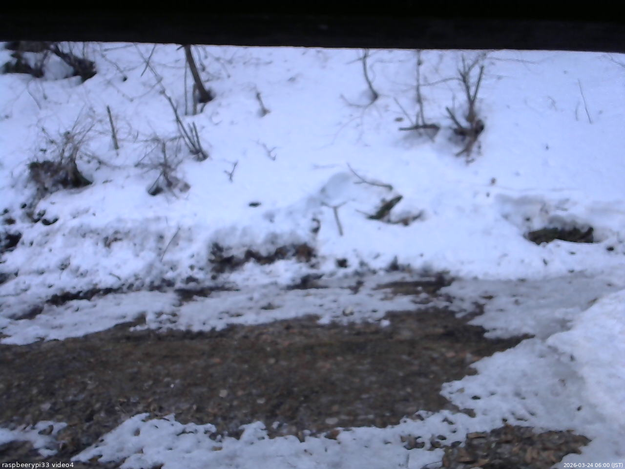 長野県菅平高原 ゆたか山荘 東側(坂下) 2026/03/24 06:00