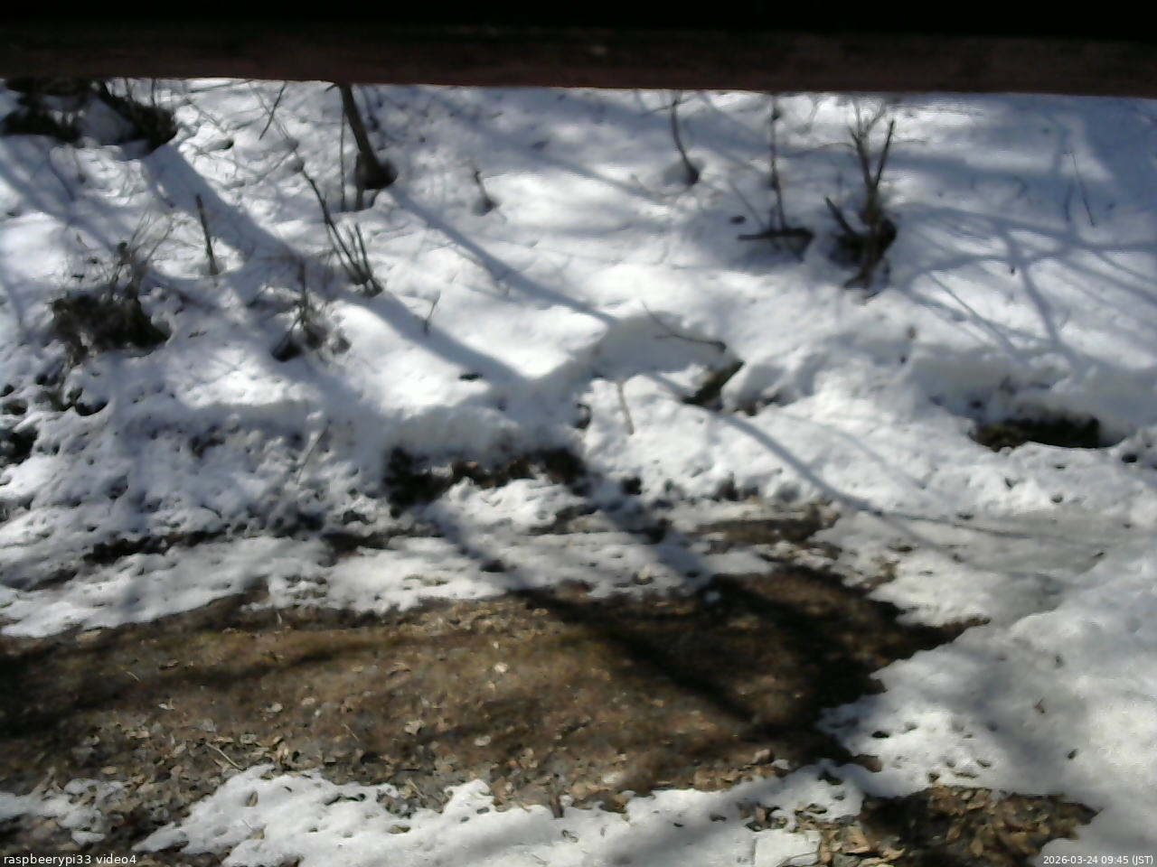 長野県菅平高原 ゆたか山荘 東側(坂下) 2026/03/24 09:45