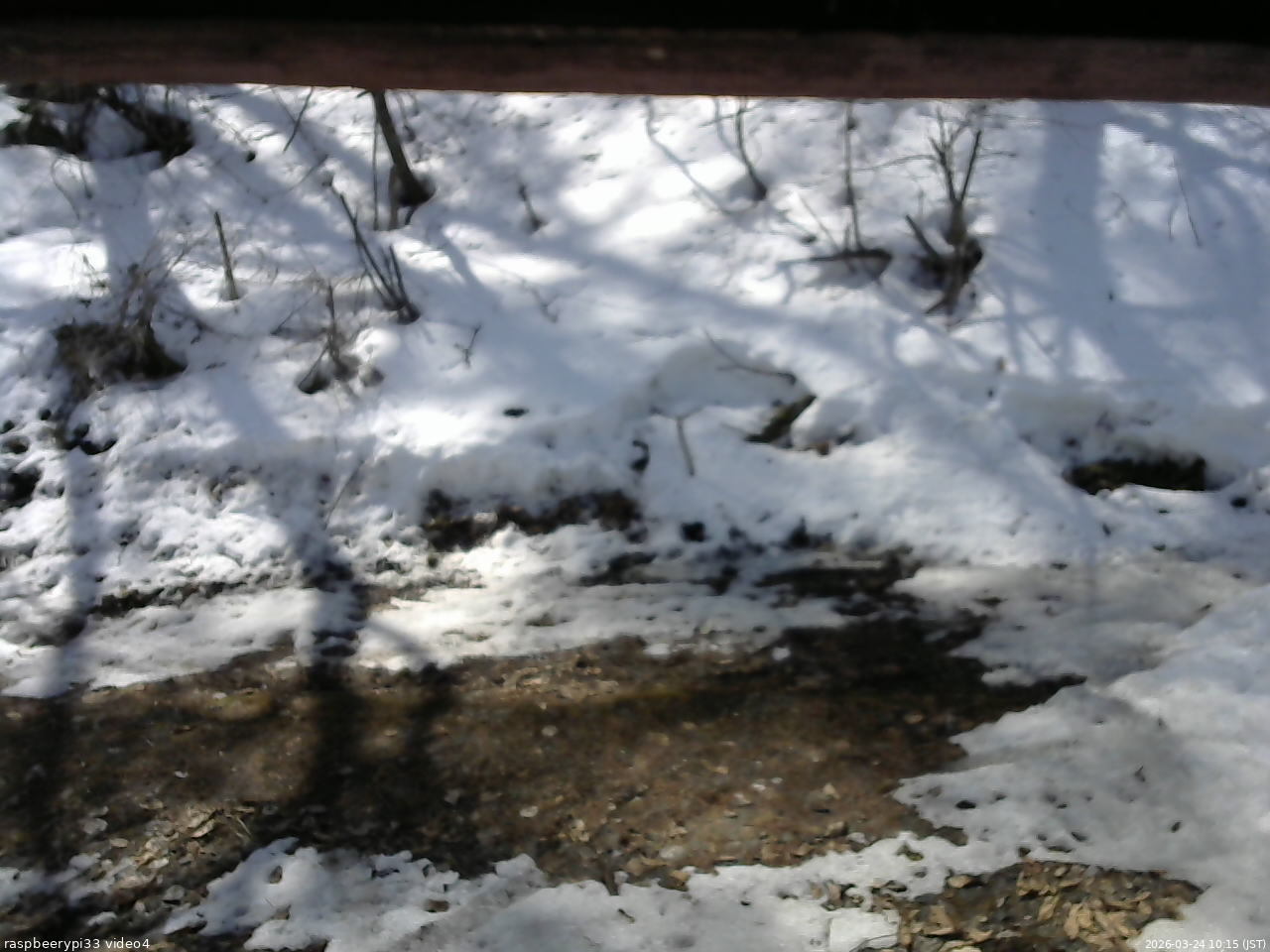 長野県菅平高原 ゆたか山荘 東側(坂下) 2026/03/24 10:15