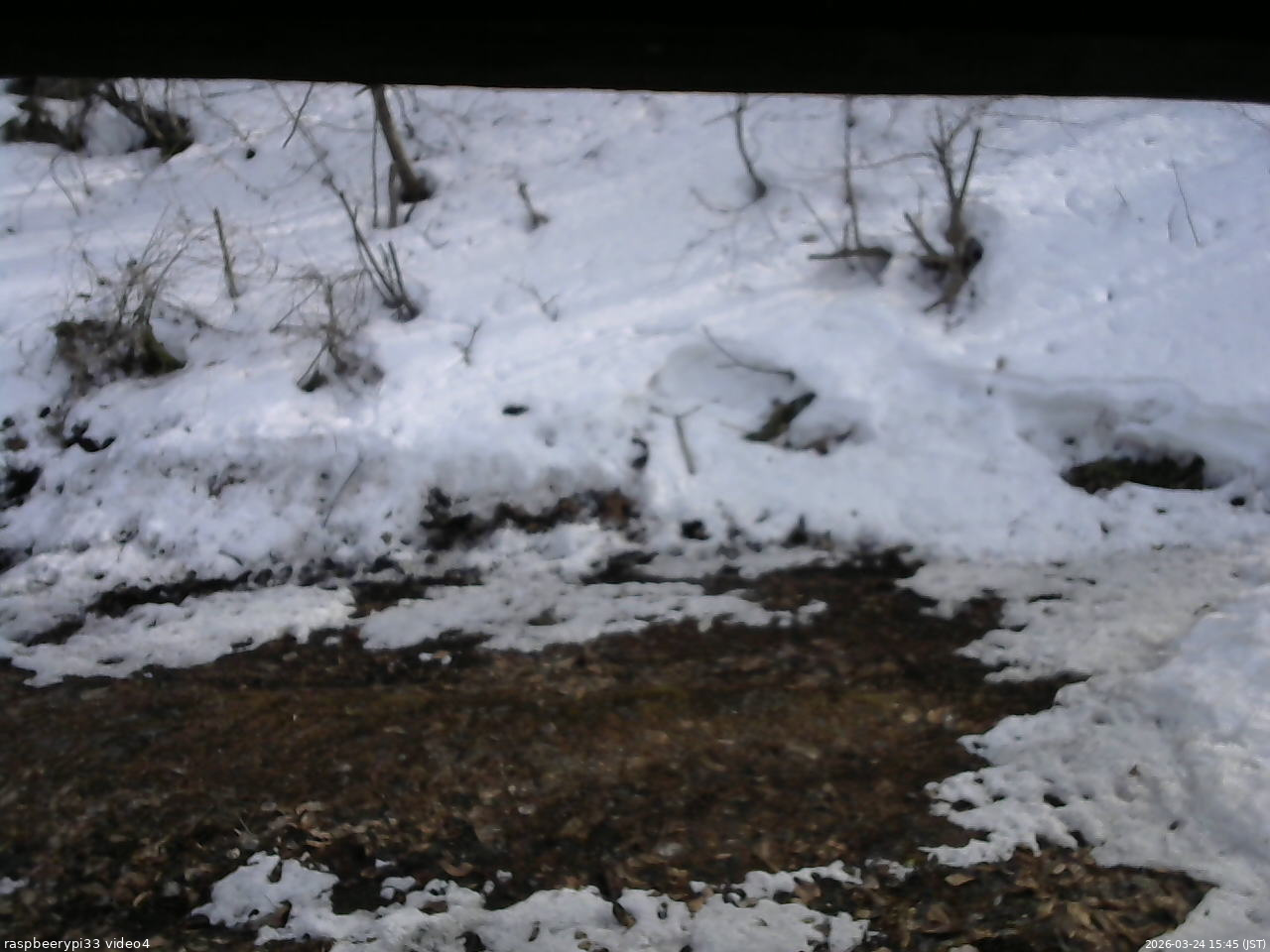 長野県菅平高原 ゆたか山荘 東側(坂下) 2026/03/24 15:45