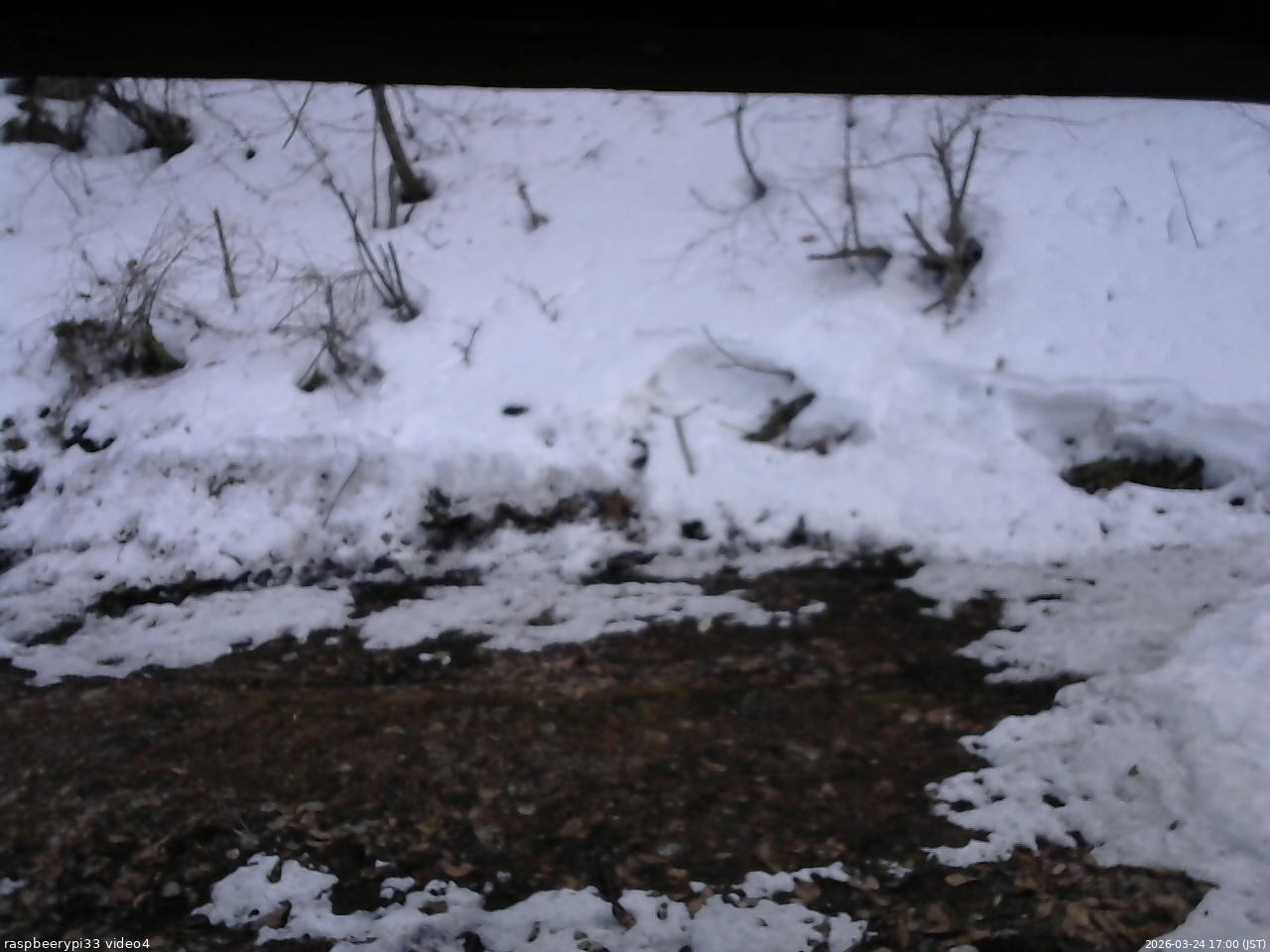 長野県菅平高原 ゆたか山荘 東側(坂下) 2026/03/24 17:00