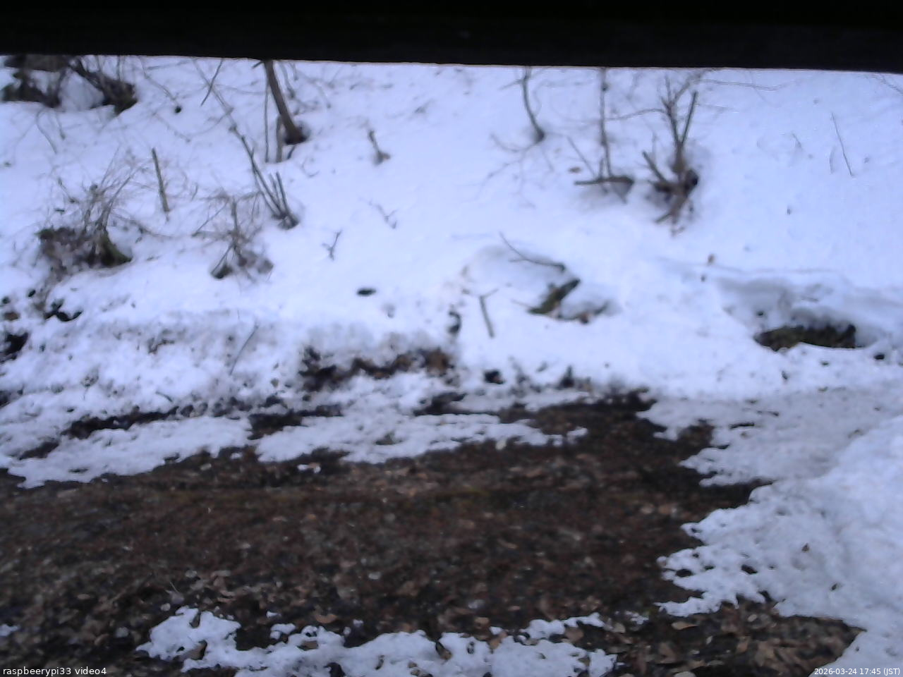 長野県菅平高原 ゆたか山荘 東側(坂下) 2026/03/24 17:45