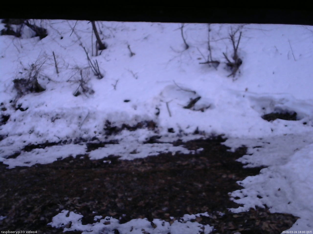 長野県菅平高原 ゆたか山荘 東側(坂下) 2026/03/24 18:00
