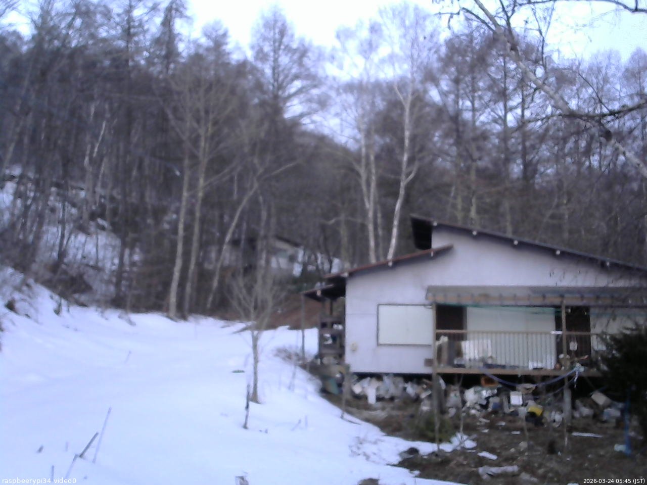 長野県菅平高原 ゆたか山荘 西側(坂上) 2026/03/24 05:45