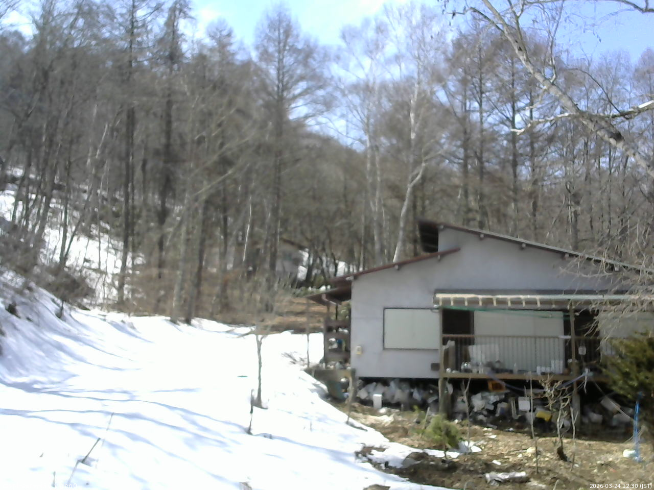 長野県菅平高原 ゆたか山荘 西側(坂上) 2026/03/24 12:30