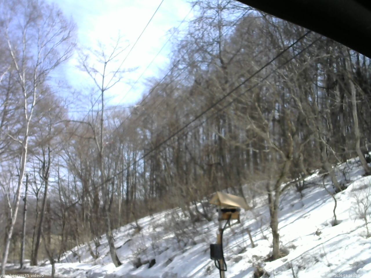 長野県菅平高原 ゆたか山荘 温度計 2026/03/24 12:30