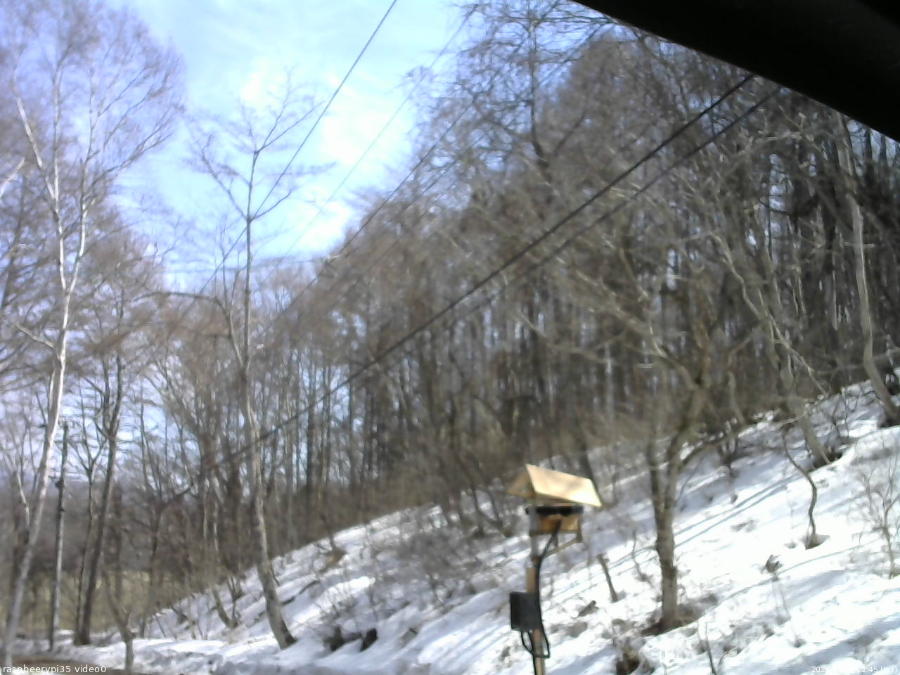 長野県菅平高原 ゆたか山荘 温度計 2026/03/24 12:45