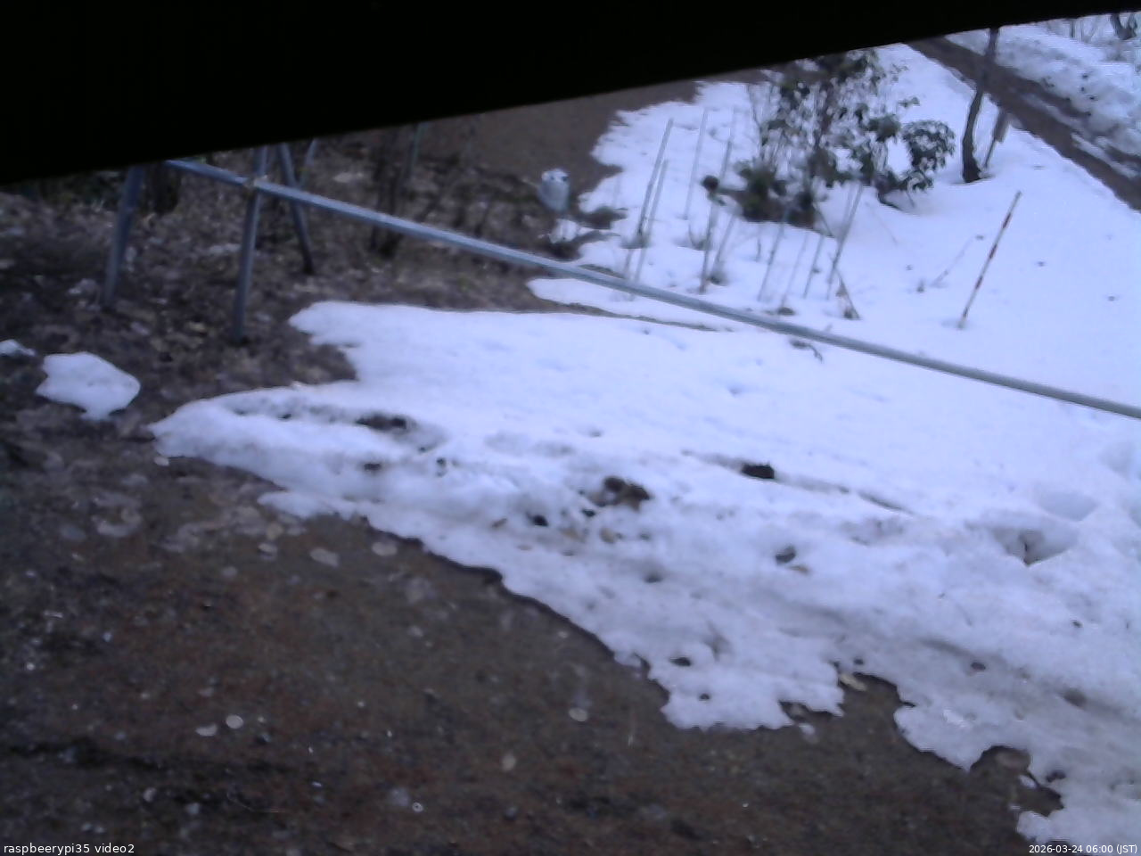 長野県菅平高原 ゆたか山荘 駐車場 2026/03/24 06:00