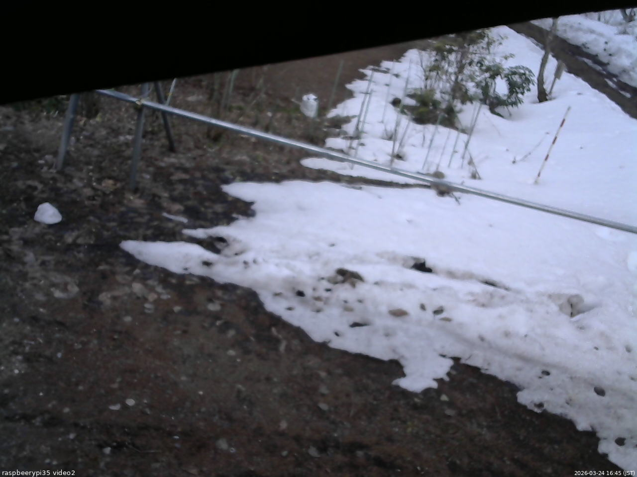 長野県菅平高原 ゆたか山荘 駐車場 2026/03/24 16:45