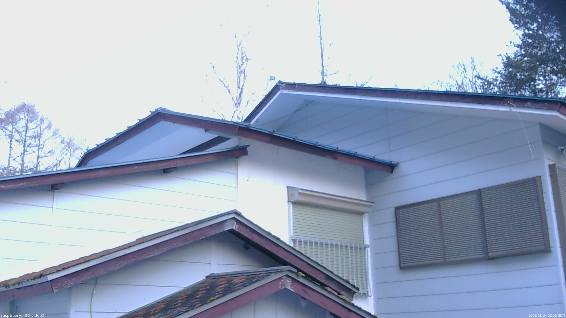 長野県菅平高原 ゆたか山荘 駐車場奥 2026/03/24 06:00