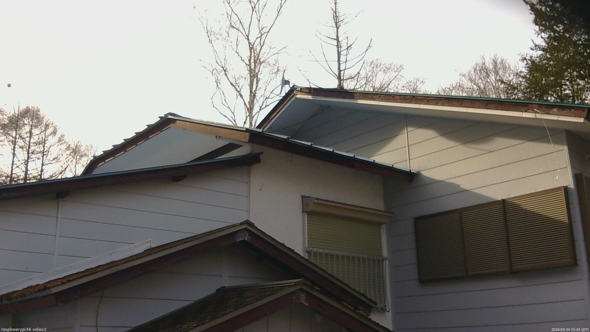長野県菅平高原 ゆたか山荘 駐車場奥 2026/03/24 15:45