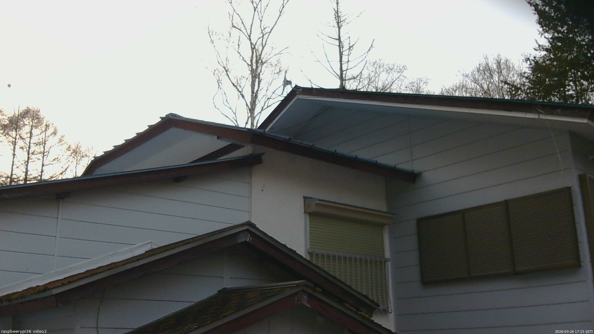 長野県菅平高原 ゆたか山荘 駐車場奥 2026/03/24 17:15