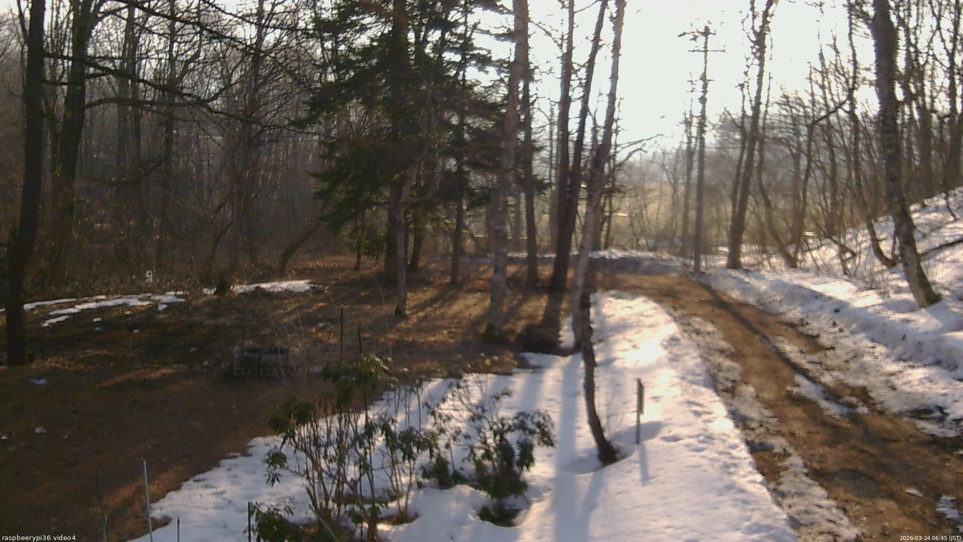 長野県菅平高原 ゆたか山荘 坂上 2026/03/24 06:45