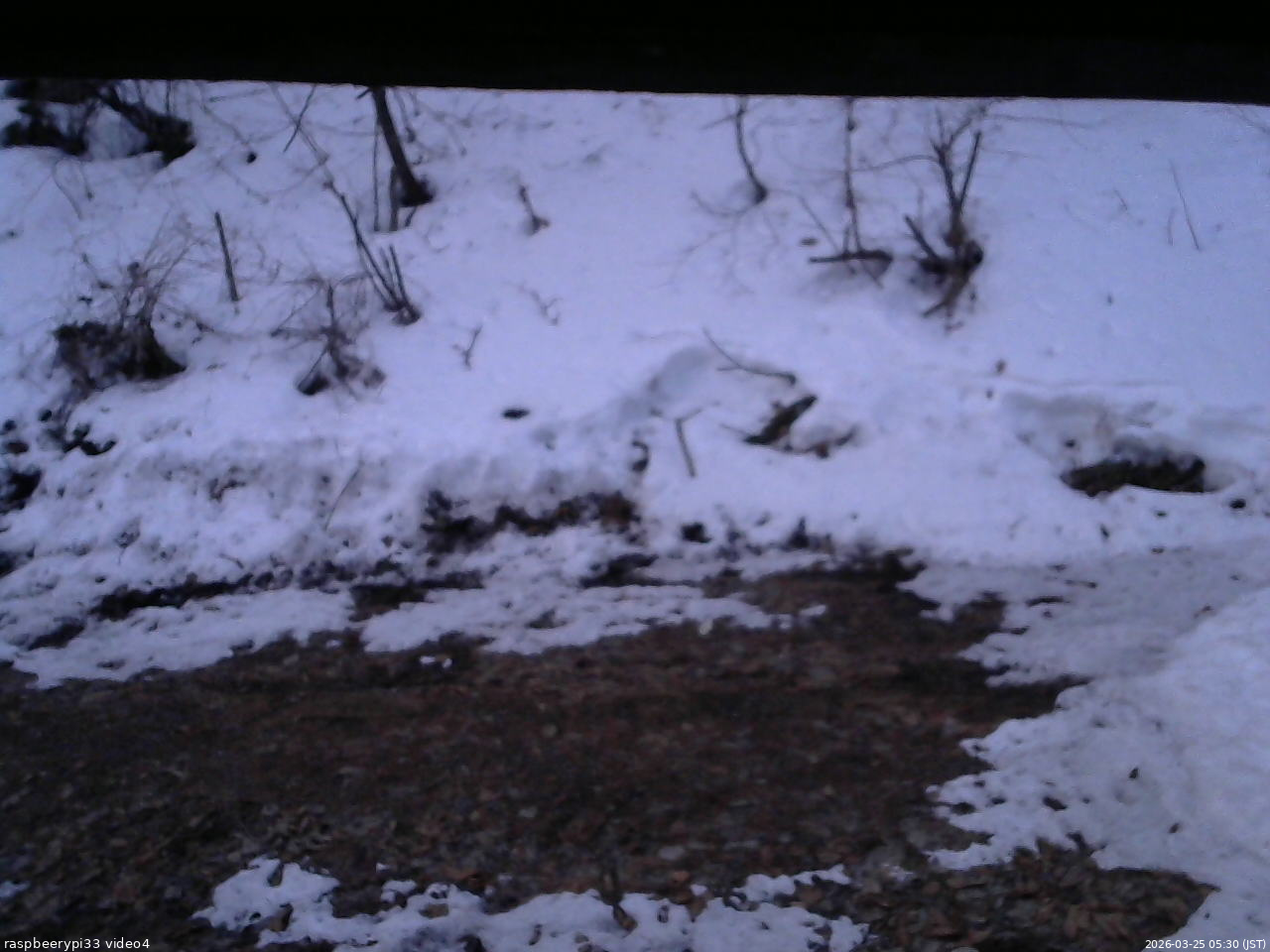 長野県菅平高原 ゆたか山荘 東側(坂下) 2026/03/25 05:30