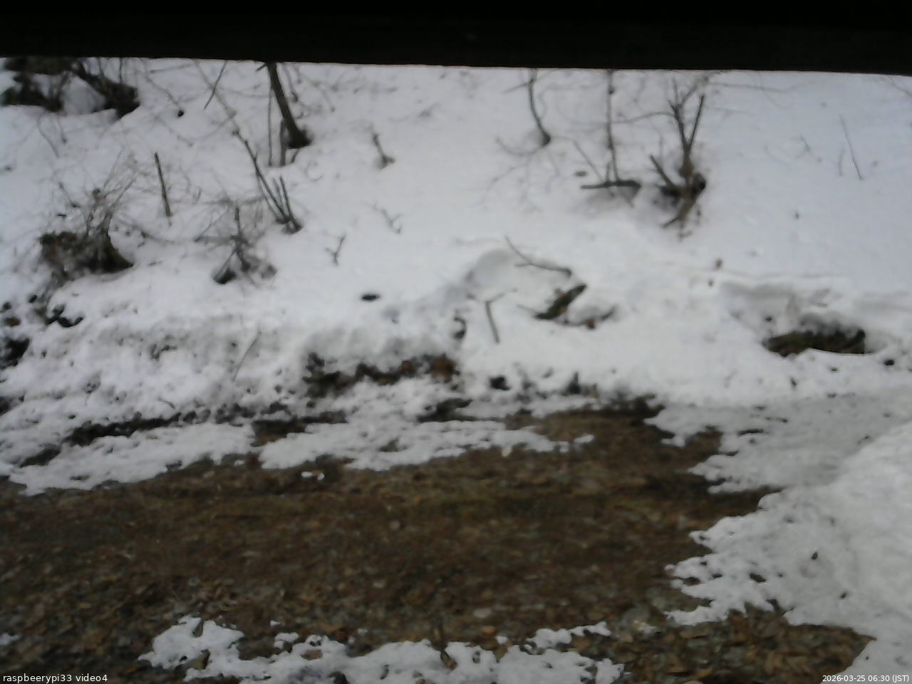 長野県菅平高原 ゆたか山荘 東側(坂下) 2026/03/25 06:30