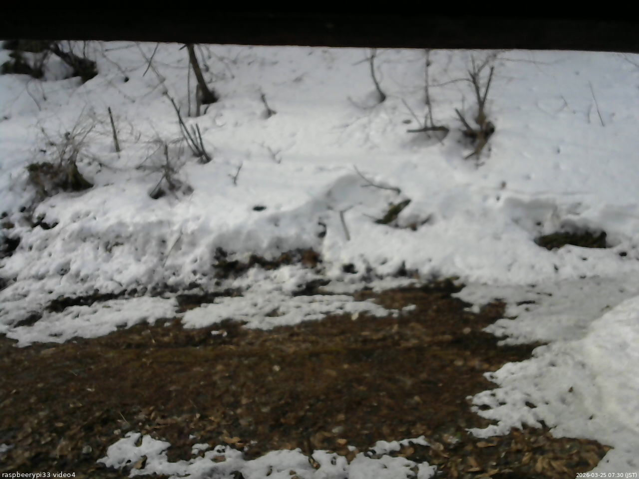 長野県菅平高原 ゆたか山荘 東側(坂下) 2026/03/25 07:30