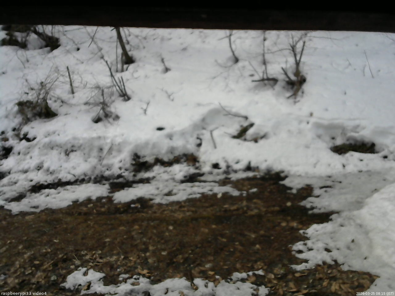 長野県菅平高原 ゆたか山荘 東側(坂下) 2026/03/25 08:15