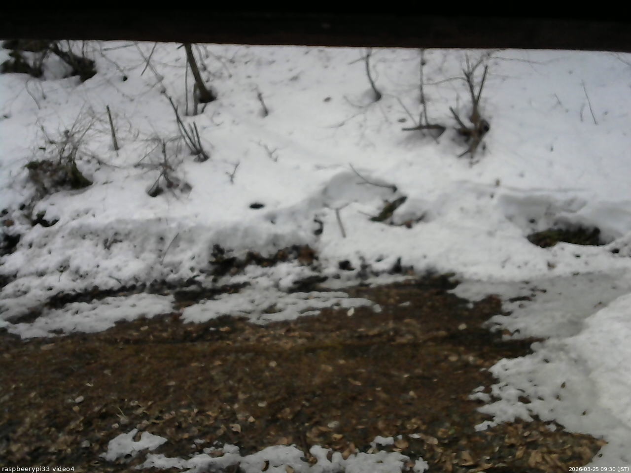 長野県菅平高原 ゆたか山荘 東側(坂下) 2026/03/25 09:30