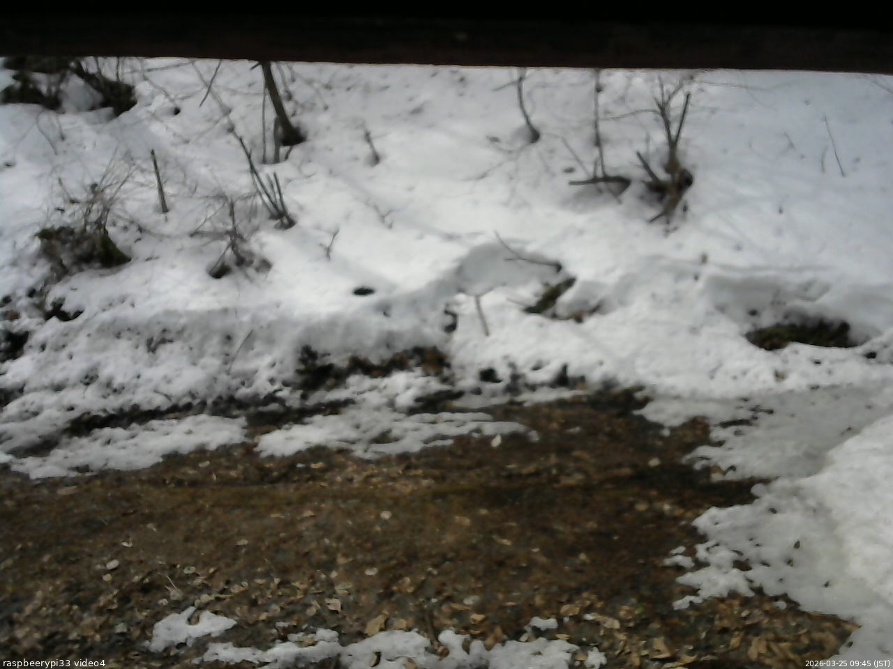 長野県菅平高原 ゆたか山荘 東側(坂下) 2026/03/25 09:45