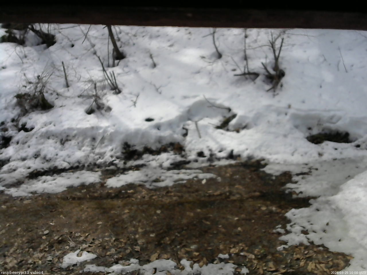 長野県菅平高原 ゆたか山荘 東側(坂下) 2026/03/25 10:00