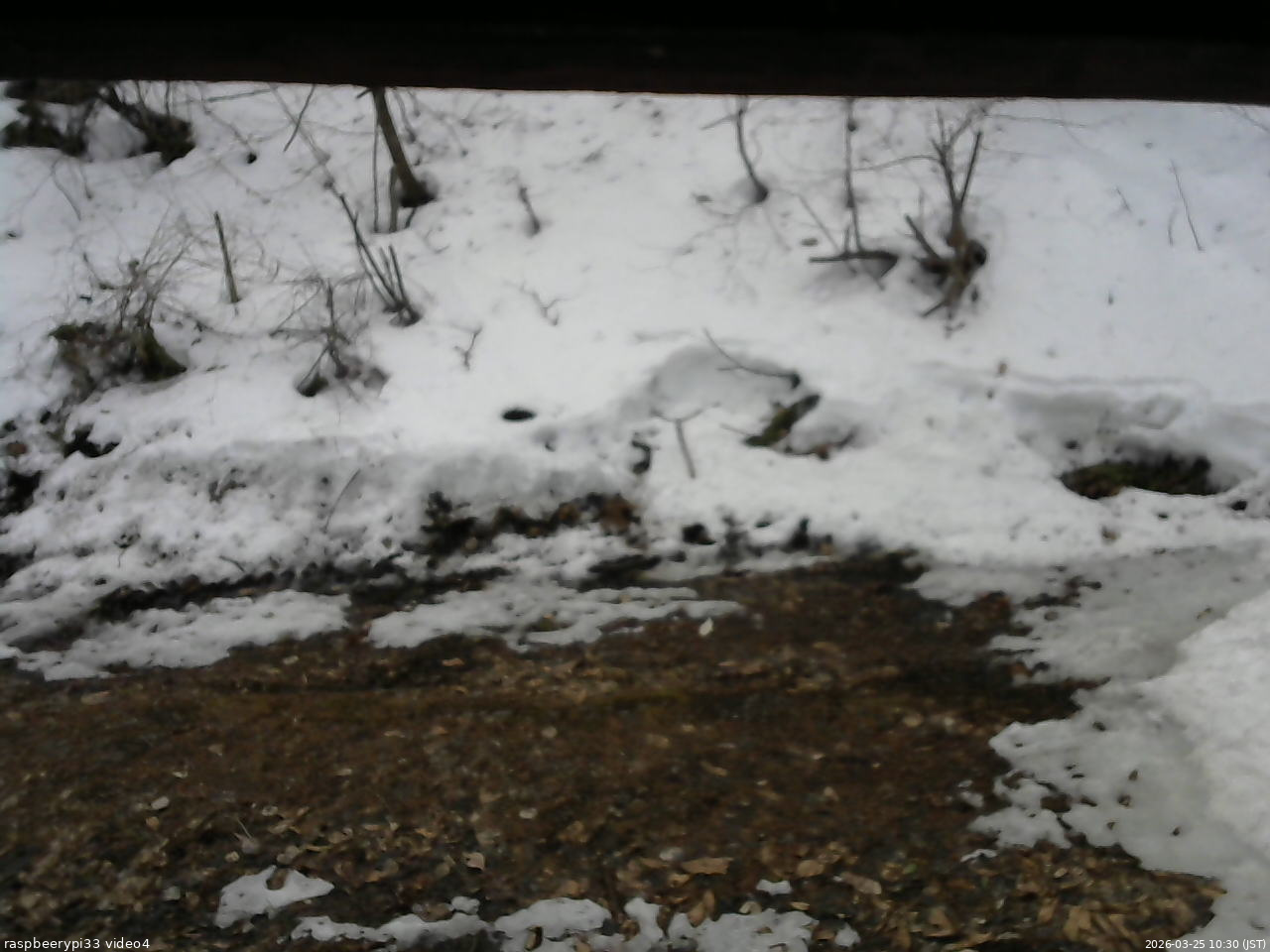 長野県菅平高原 ゆたか山荘 東側(坂下) 2026/03/25 10:30