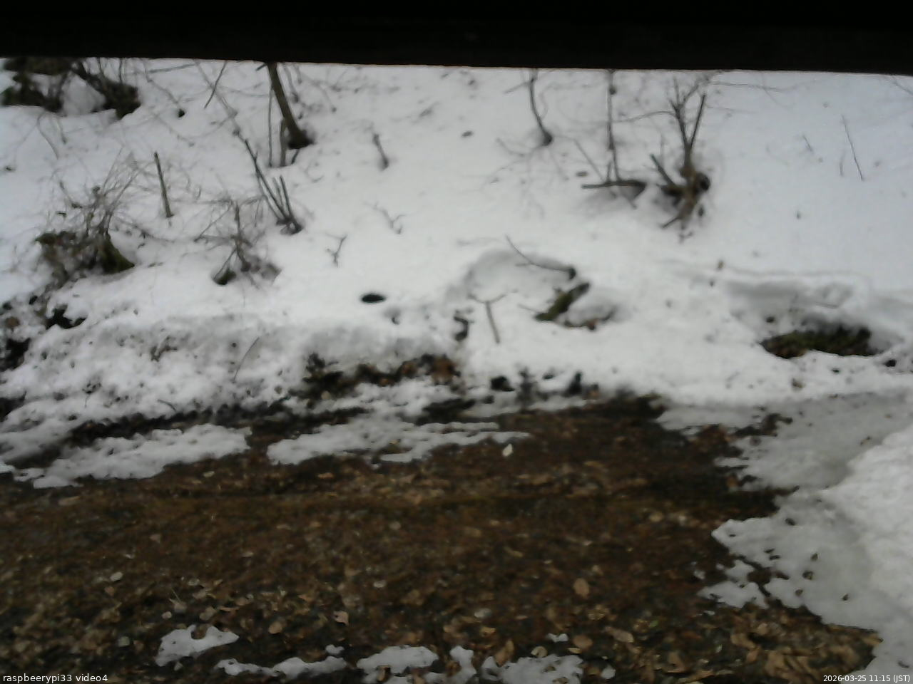 長野県菅平高原 ゆたか山荘 東側(坂下) 2026/03/25 11:15