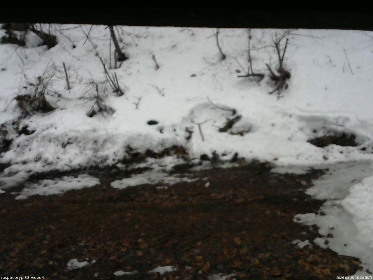 長野県菅平高原 ゆたか山荘 東側(坂下) 2026/03/25 15:30