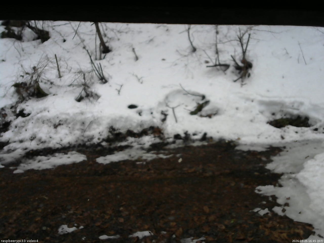 長野県菅平高原 ゆたか山荘 東側(坂下) 2026/03/25 16:45