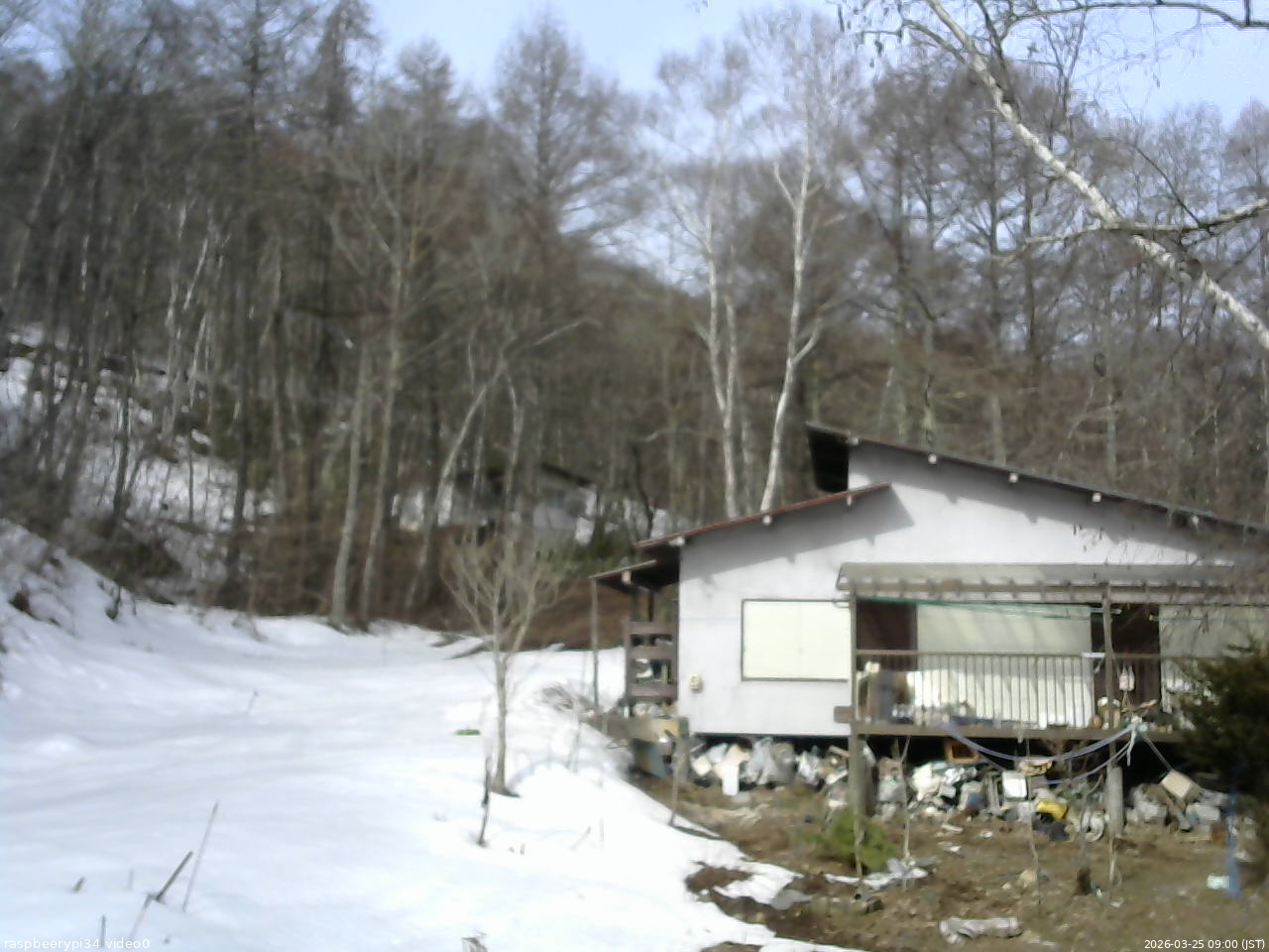 長野県菅平高原 ゆたか山荘 西側(坂上) 2026/03/25 09:00