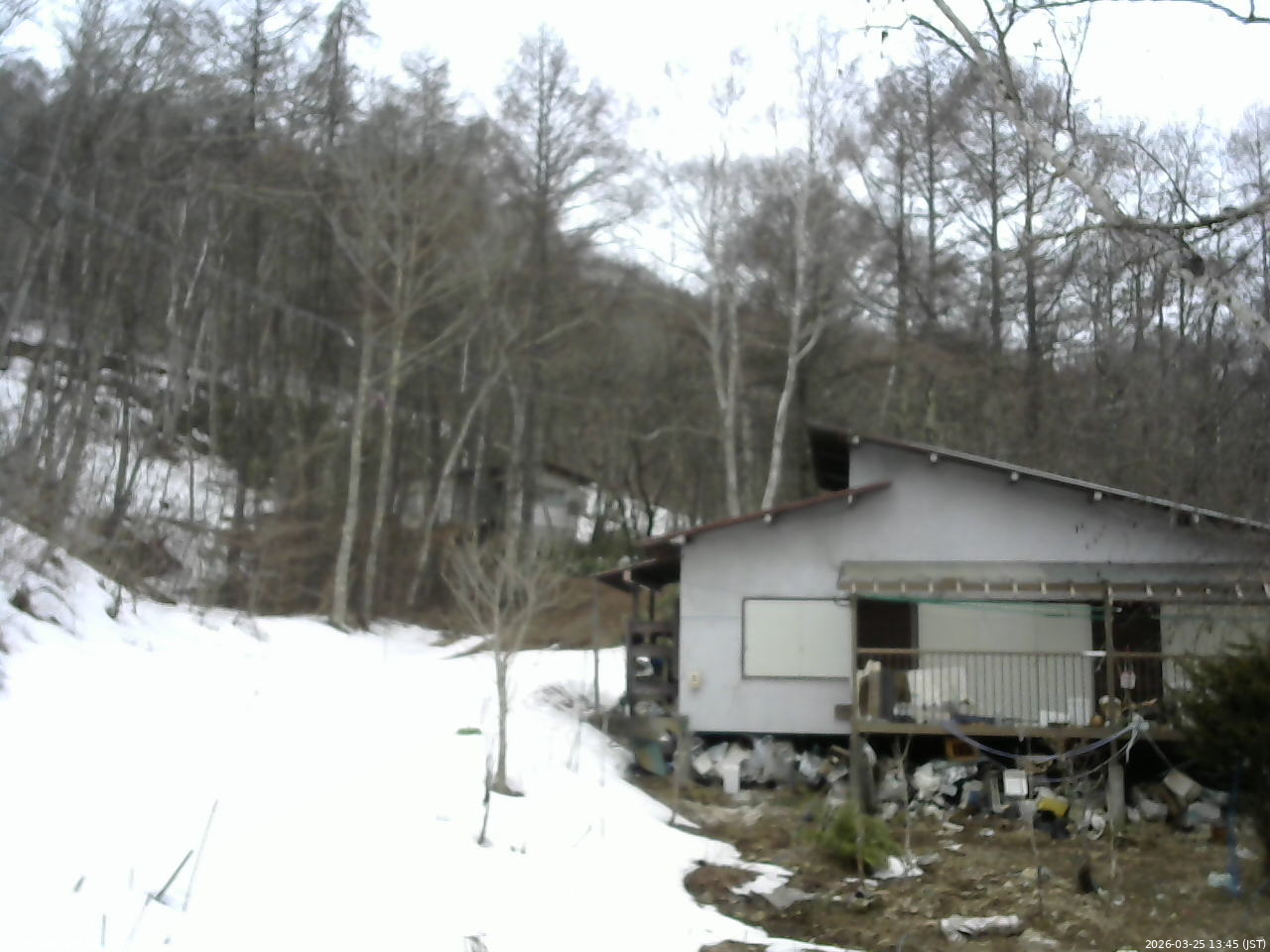 長野県菅平高原 ゆたか山荘 西側(坂上) 2026/03/25 13:45