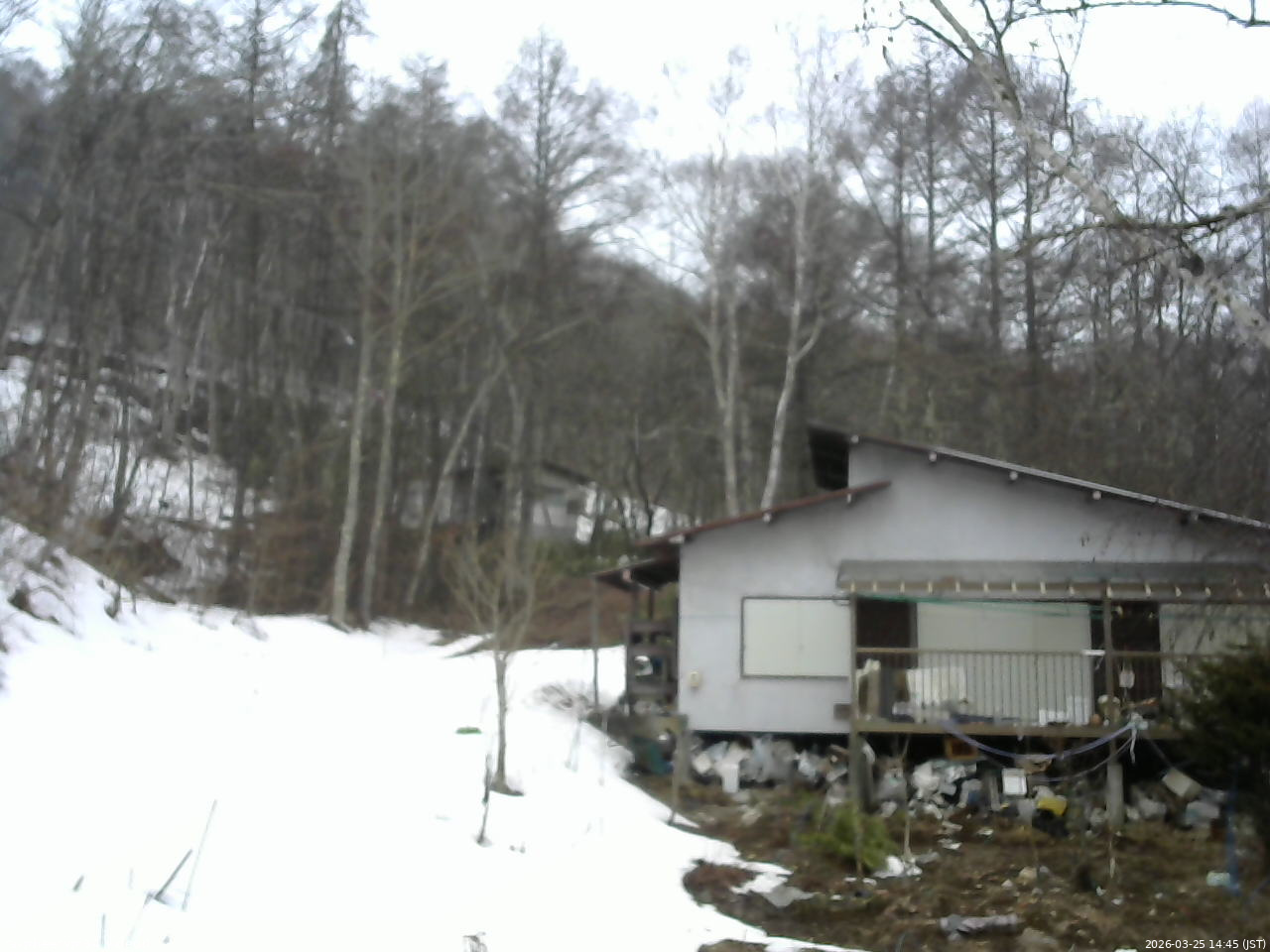 長野県菅平高原 ゆたか山荘 西側(坂上) 2026/03/25 14:45