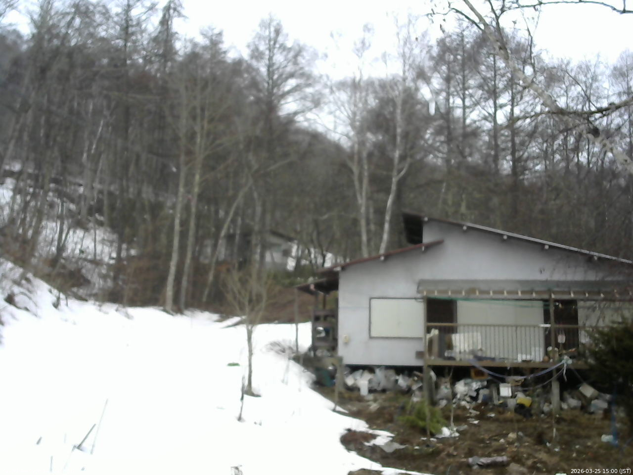 長野県菅平高原 ゆたか山荘 西側(坂上) 2026/03/25 15:00