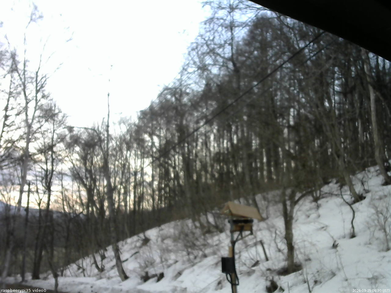 長野県菅平高原 ゆたか山荘 温度計 2026/03/25 06:30
