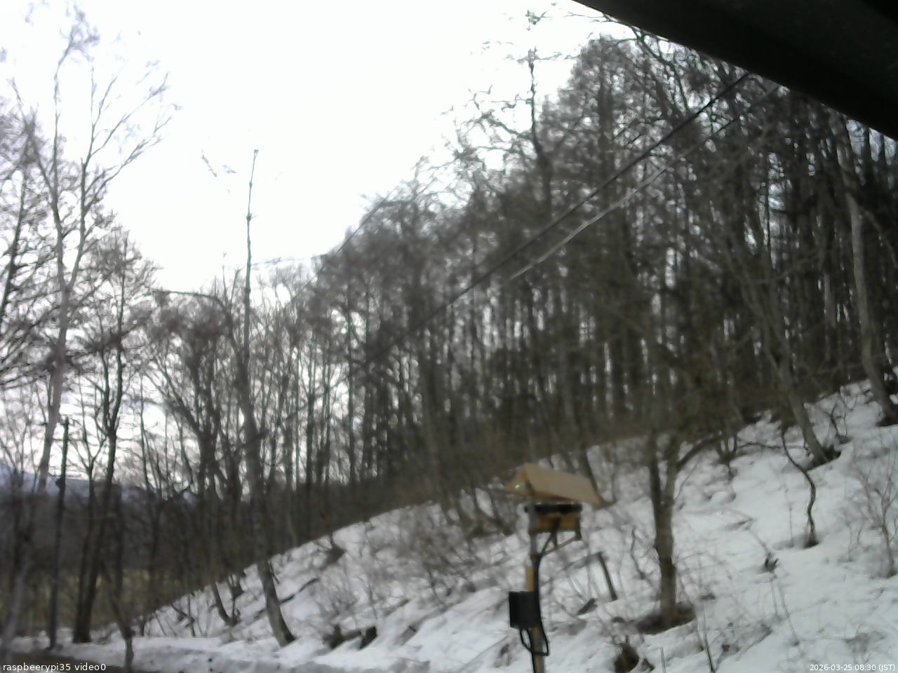 長野県菅平高原 ゆたか山荘 温度計 2026/03/25 08:30