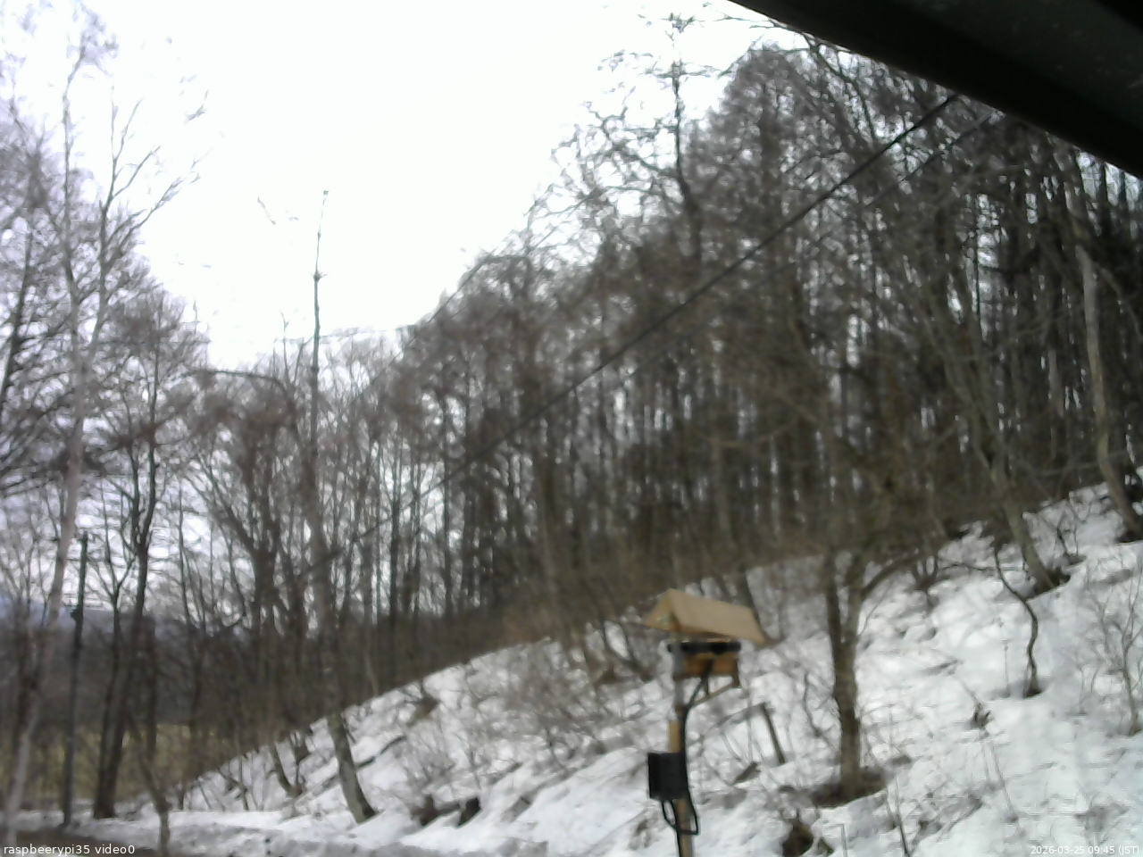 長野県菅平高原 ゆたか山荘 温度計 2026/03/25 09:45
