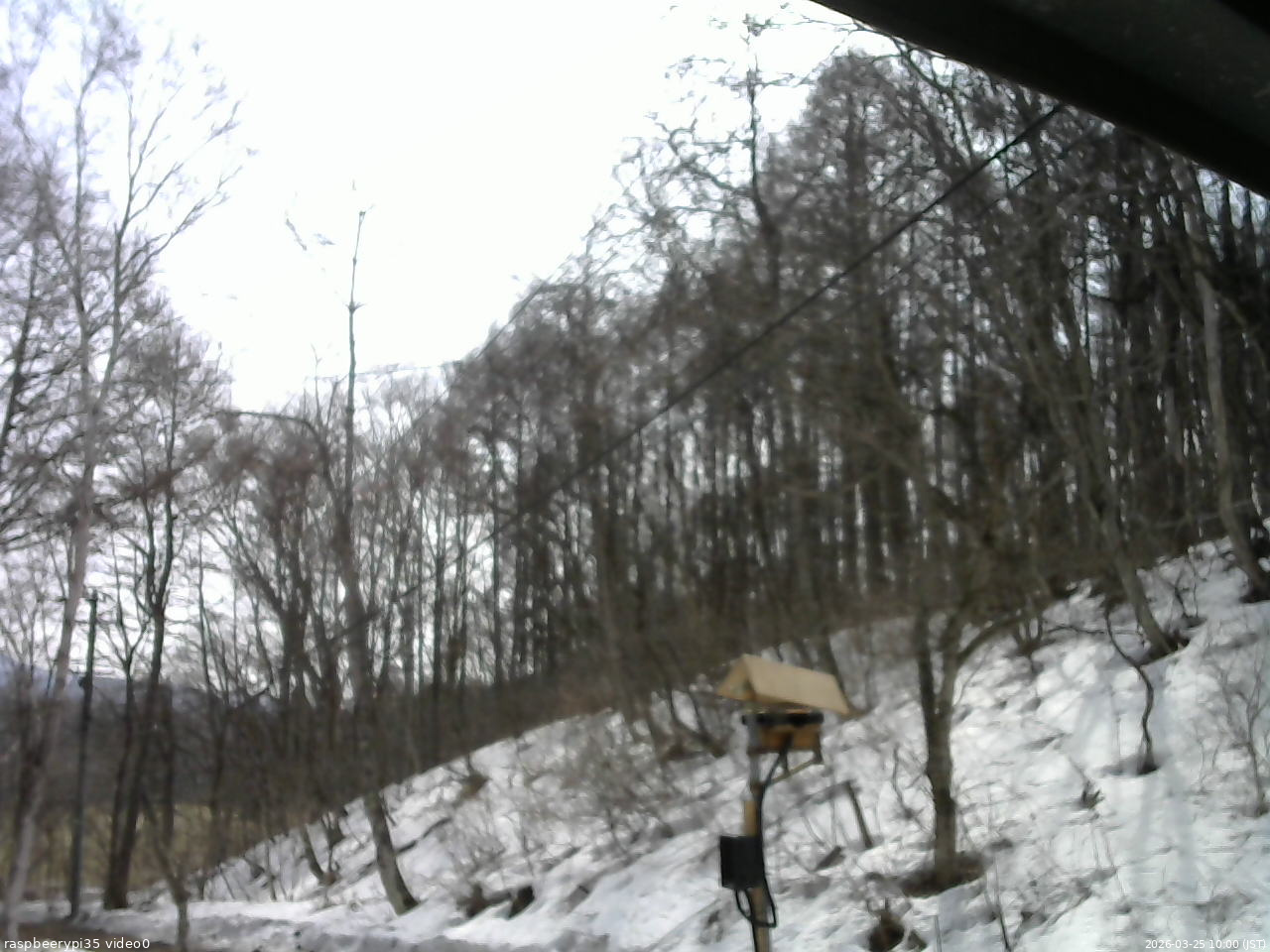 長野県菅平高原 ゆたか山荘 温度計 2026/03/25 10:00