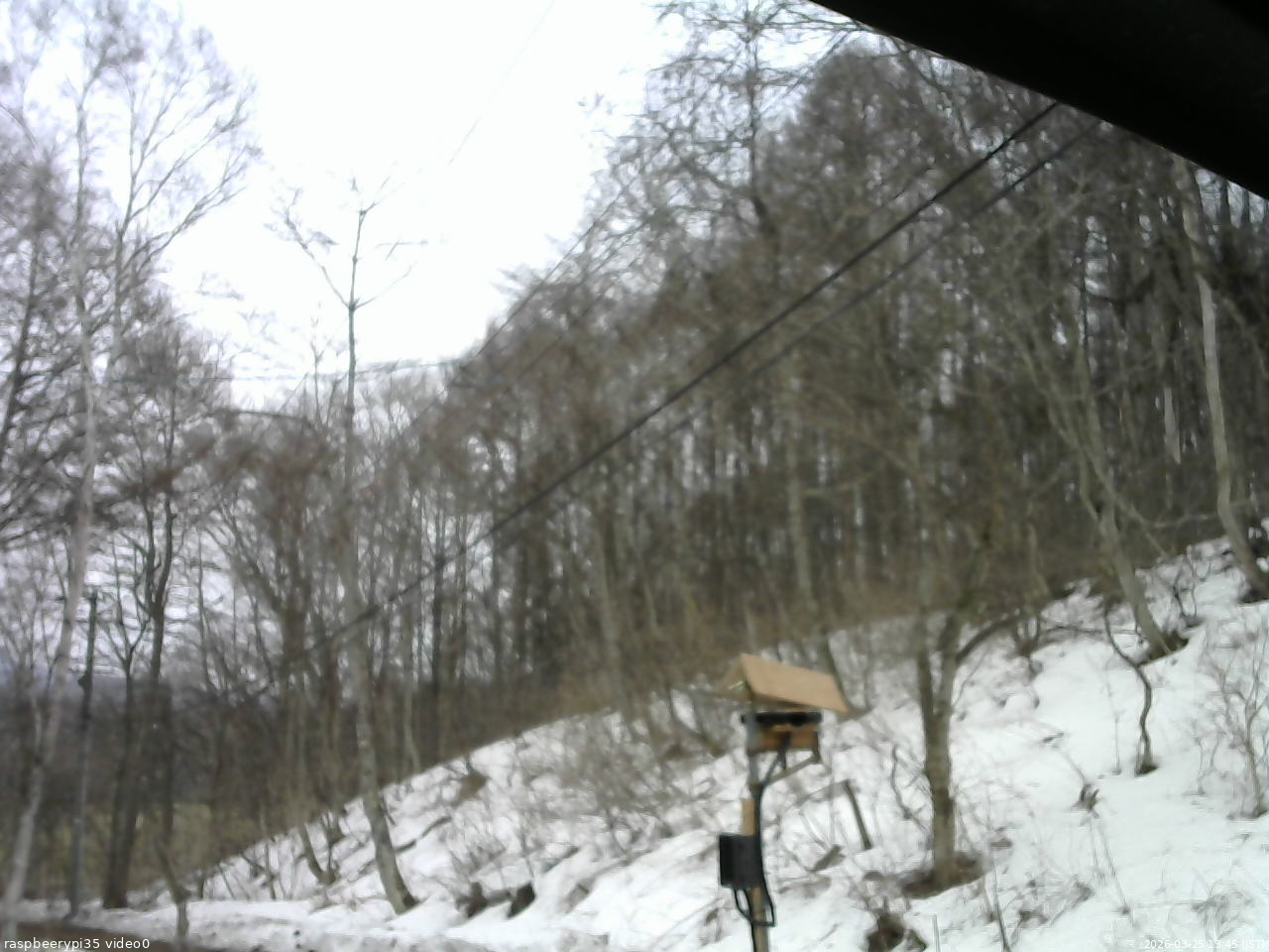長野県菅平高原 ゆたか山荘 温度計 2026/03/25 13:45