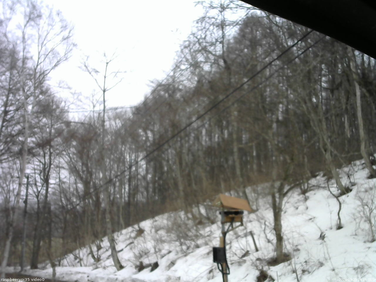 長野県菅平高原 ゆたか山荘 温度計 2026/03/25 14:15