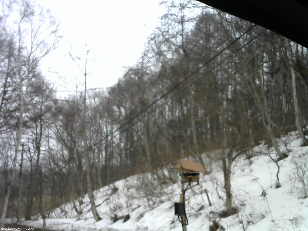 長野県菅平高原 ゆたか山荘 温度計 2026/03/25 14:45
