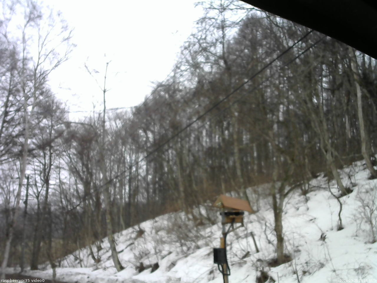 長野県菅平高原 ゆたか山荘 温度計 2026/03/25 15:15