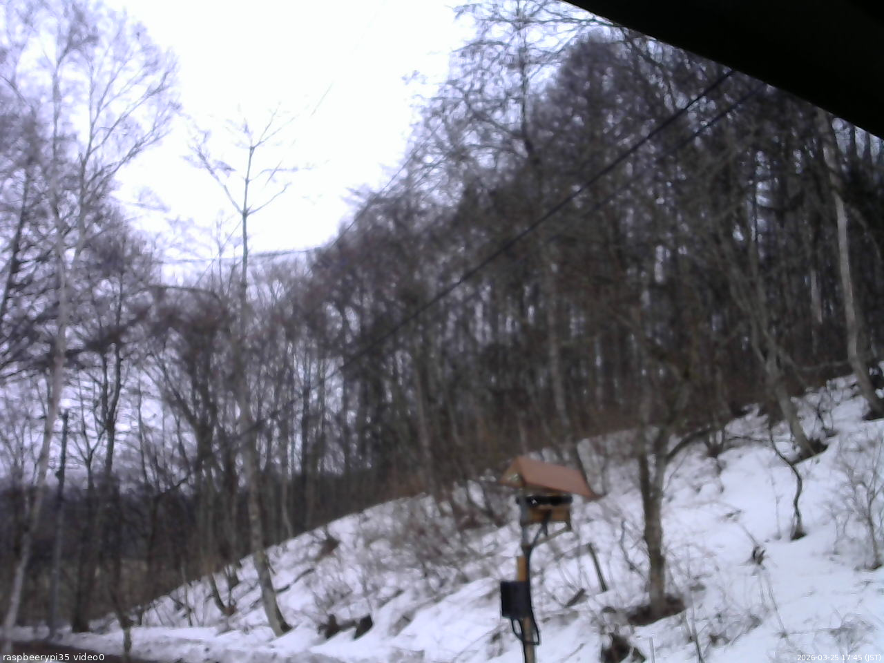 長野県菅平高原 ゆたか山荘 温度計 2026/03/25 17:45