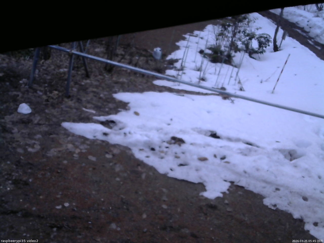 長野県菅平高原 ゆたか山荘 駐車場 2026/03/25 05:45