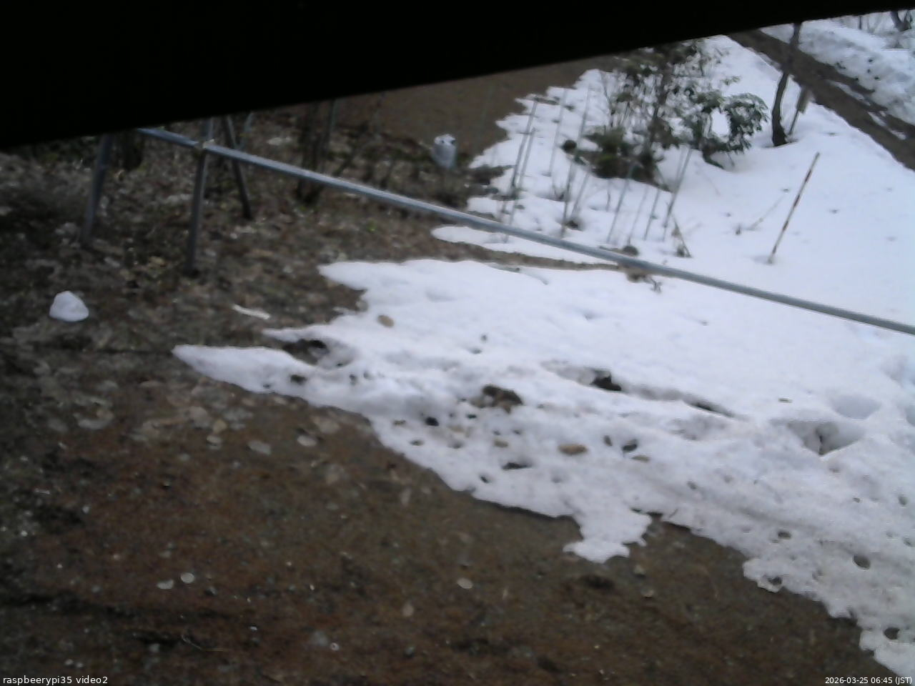 長野県菅平高原 ゆたか山荘 駐車場 2026/03/25 06:45